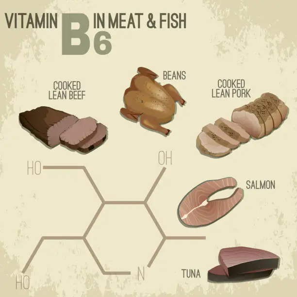 Vector illustration of Vitamin B6 Food