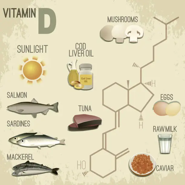 Vector illustration of Vitamin D in Food