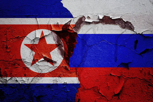 istock flag Russia and North Korea 836291312