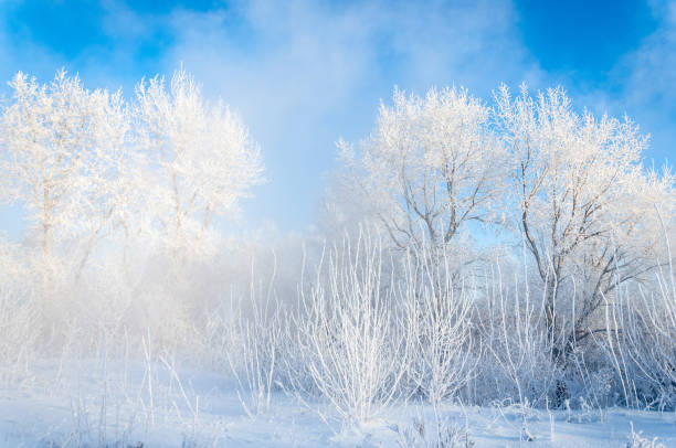 istock winter, winter-tide, winter-time 836291618