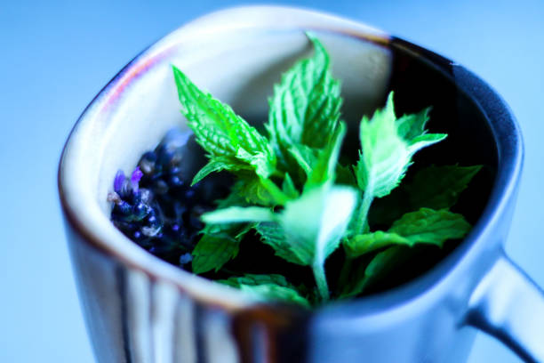 tè alla menta e lavanda - lavender mint tea foto e immagini stock