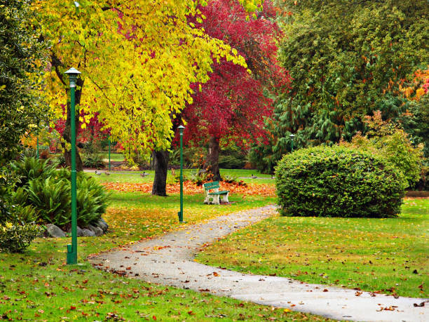 istock Autumn colored bright leaves on the trees during fall season 836295608