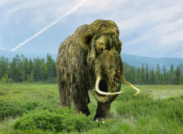 Mammoth in the summer taiga at the present time.