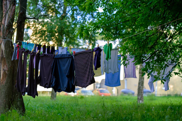 istock Clothes drying on the laundry line between green trees on fresh air 836299876