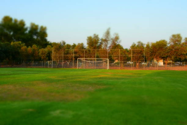 istock Football field - Silhouette 836300414