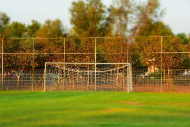 istock Football field - Silhouette 836300526