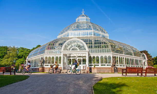 пальмовый дом в сефтон парк, ливерпуль - palm house стоковые фото и изображения