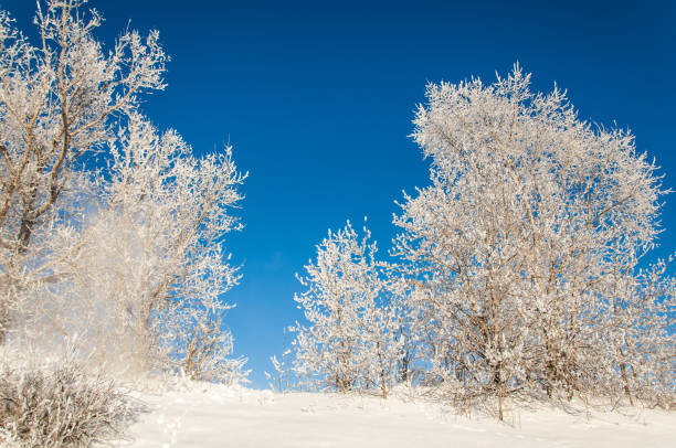 istock winter, winter-tide, winter-time 836307858