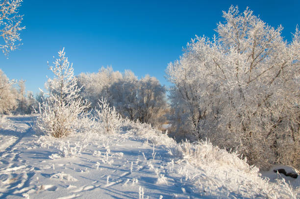 istock winter, winter-tide, winter-time 836308306