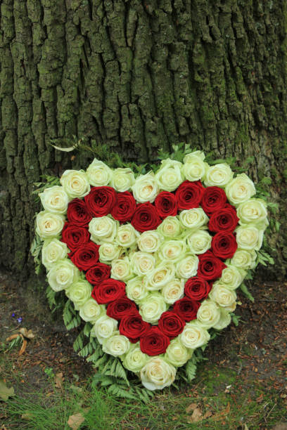 istock Red and white sympathy flowers near a tree 836311506