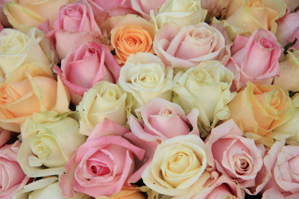 istock Mixed rose bridal bouquet 836312522