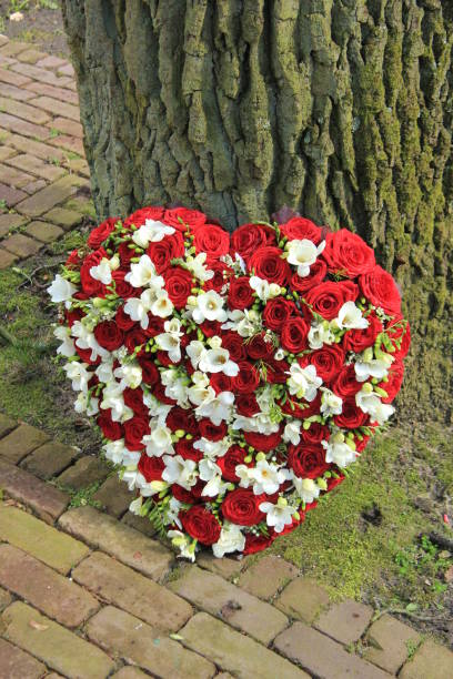 istock Red and white sympathy flowers near a tree 836318670