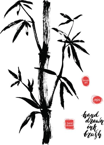 Hand drawn black ink bamboo tree branch. Hand drawn black ink bamboo tree branch. Traditional dry calligraphic brush painting. chinese culture paintings bush painting stock illustrations