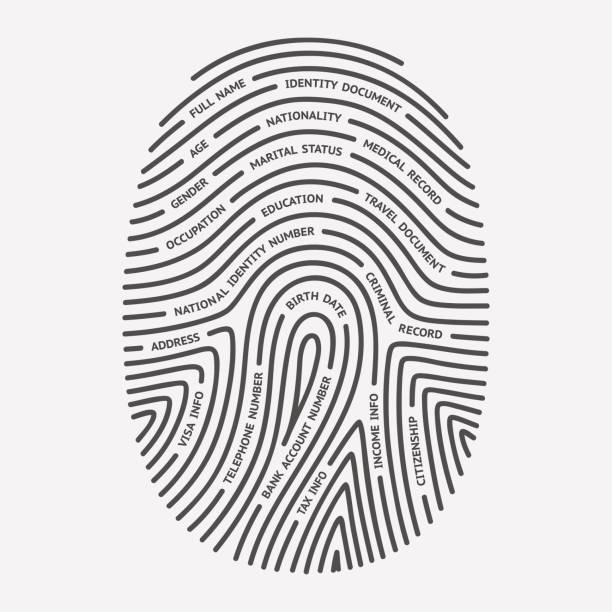 illustrazioni stock, clip art, cartoni animati e icone di tendenza di impronte digitali e informazioni personali - fingerprint lock order accessibility