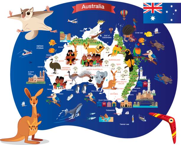 illustrazioni stock, clip art, cartoni animati e icone di tendenza di mappa dei cartoni animati dell'australia - koala australian culture cartoon animal