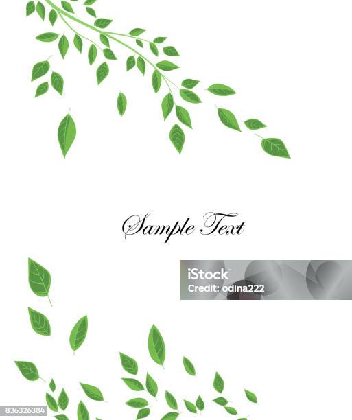 Frame Corners with Green Leaves or Foliage Vector Illustration Stock Vector  - Illustration of foliage, arrangement: 198342390