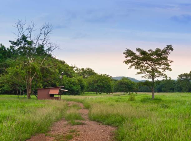 istock Beautiful Thai Countryside On Mountain background 836328778