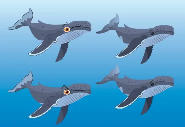 Vector illustration of Whale