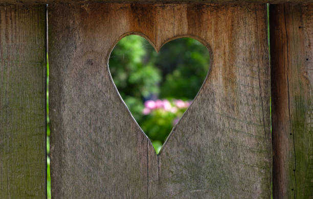 istock Heart from a toilet door 836329626