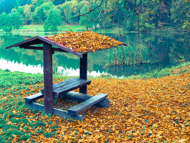 abri de sièges pour les touristes près de l’étang à l’automne. tous couverts par dry leafs - bench forest pond autumn photos et images de collection