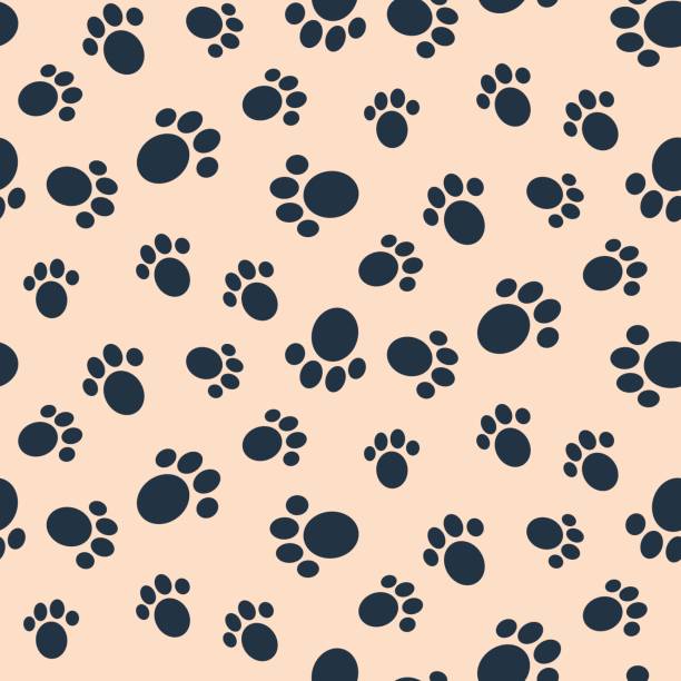 ilustraciones, imágenes clip art, dibujos animados e iconos de stock de perro pata vector impresión de patrones sin fisuras - paw print animal track dirt track