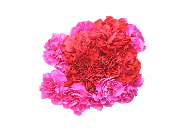 istock Bouquet of carnation 836332892