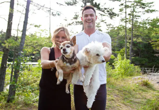 Photo of couple makes their dogs fly