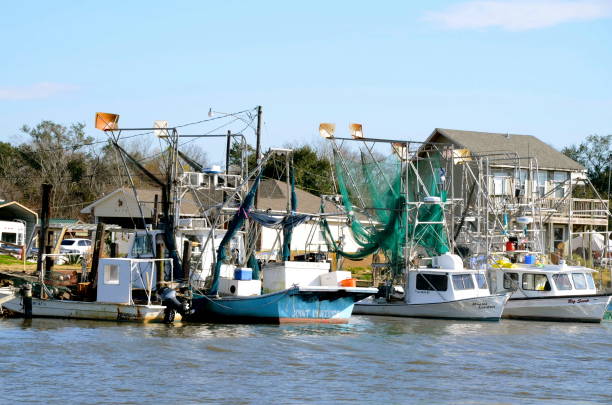 Well equipped commercial fishing boats with trawlers, colorful bouys and nets, are along the shore in New Orleans, Louisiana.