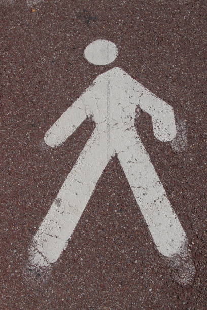 istock road marking for pedestrians 836346024
