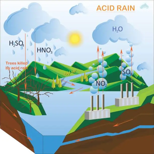 Vector illustration of Scheme of the Acid rain