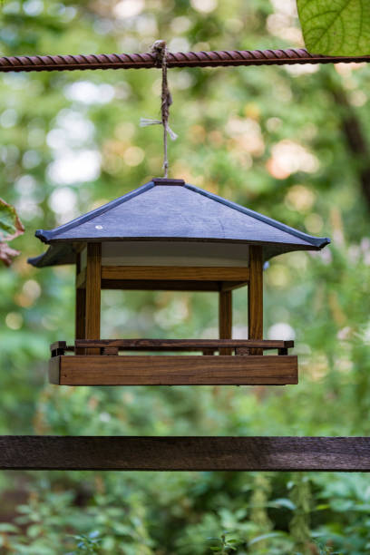 istock Feeder for birds in the park 836354004