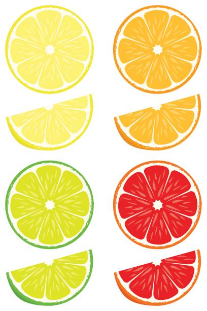 ilustraciones, imágenes clip art, dibujos animados e iconos de stock de rodajas de cítricos vector set - slice of lemon