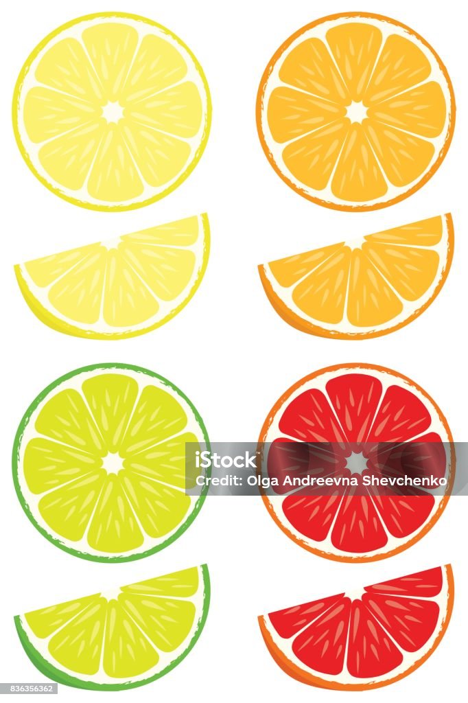 Citrus slices vector set Orange, lemon, lime, blood orange slices isolated on white background Slice of Food stock vector
