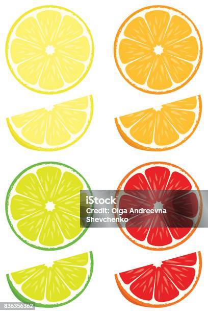 Citrus Slices Vector Set Stock Illustration - Download Image Now - Slice of Food, Lime, Orange - Fruit