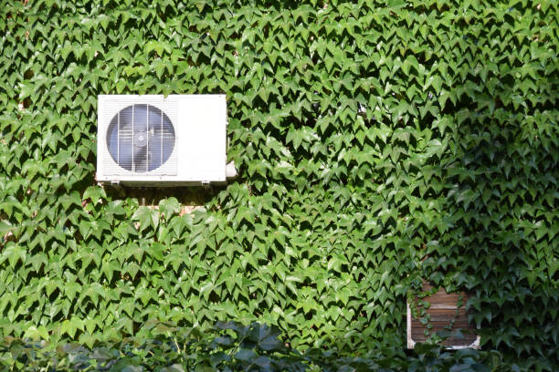 istock Air conditioner on the wall covered with ivy creeper 836356754