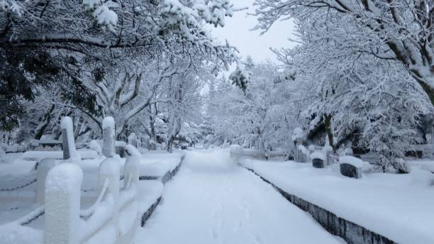 istock Snow Covered Cemetery in Reykjavik 836361810