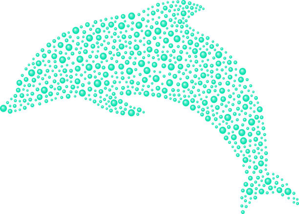 イルカ製ターコイズ ブルー ボール - dolphin white background isolated fish点のイラスト素材／クリップアート素材／マンガ素材／アイコン素材