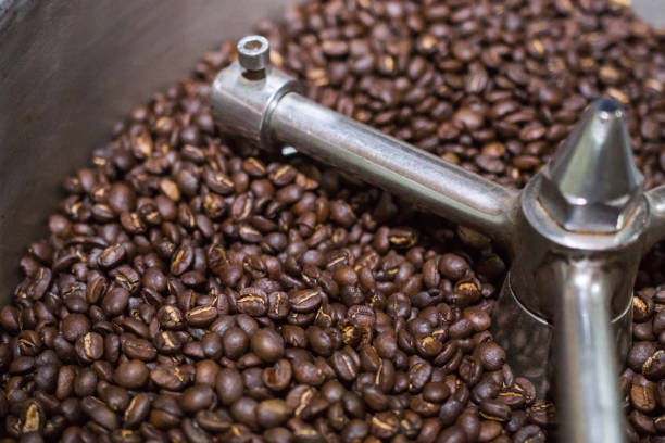 istock Arabica coffee beans in coffee machine roasting process.Coffee roasters machine. roasted coffee beans in spinning cooler professional machine 836390716