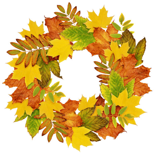 istock Autumn wreath from dry colored leaves 836394166