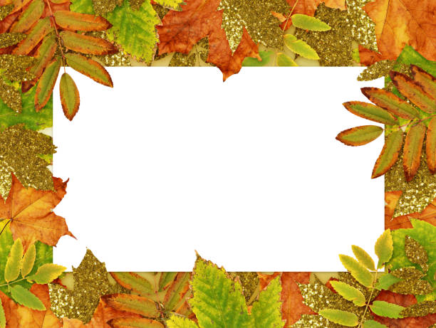 istock Golden and colorful autumn leaves frame 836394176