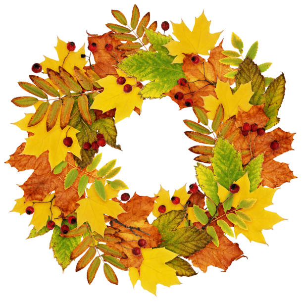 istock Autumn wreath from dry colored leaves and rowan berries 836394228