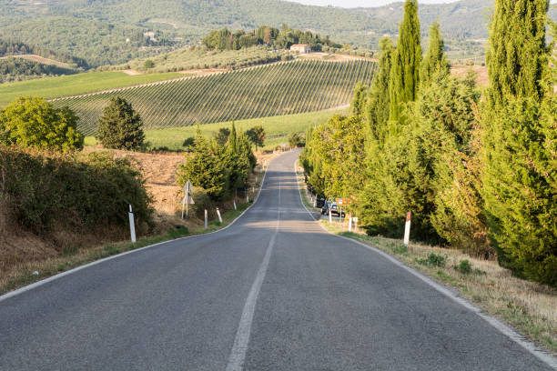 istock Asphalt road in Tuscany 836397616