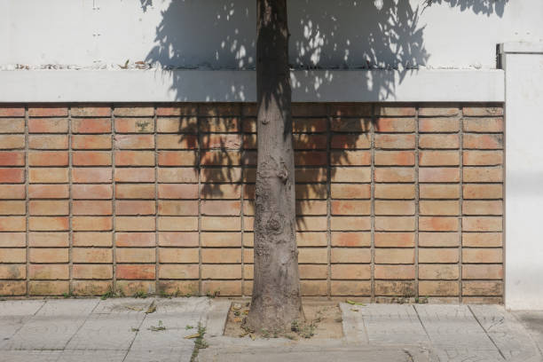 Retro style fence with shadow of tree