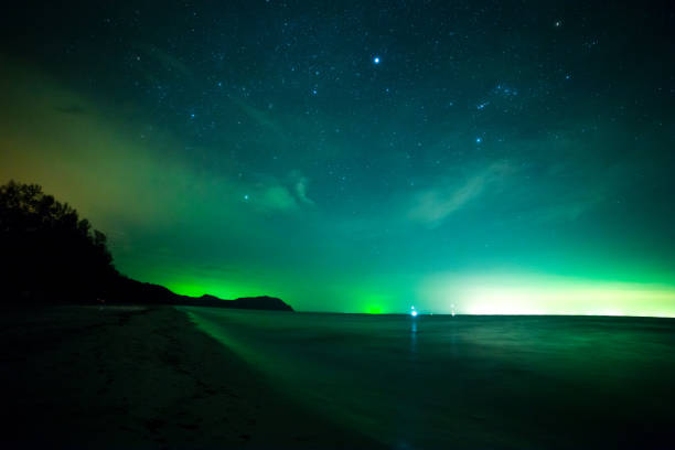 istock beach and sea in night sky with stars 836405902