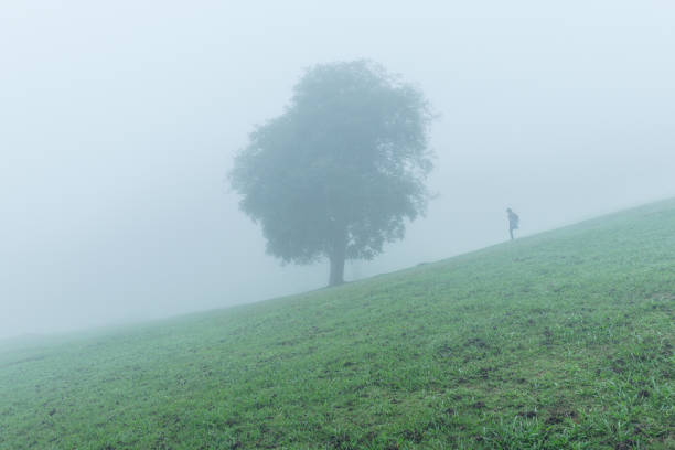 istock Lonely people stand near alone tree on a foggy, spring morning 836406110