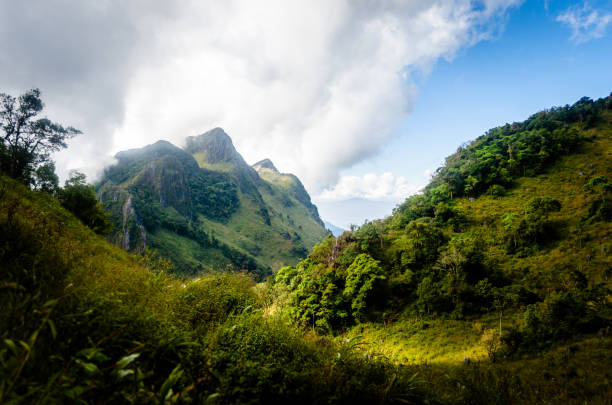 istock Doi Luang Chiang Dao, Chiang Mai, Thailand 836409552