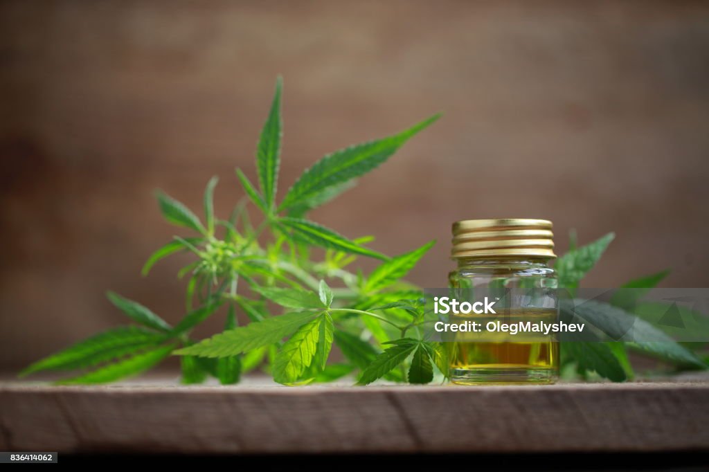 A cannabis leaf and a bottle of hemp oil on a wooden table Hemp Stock Photo