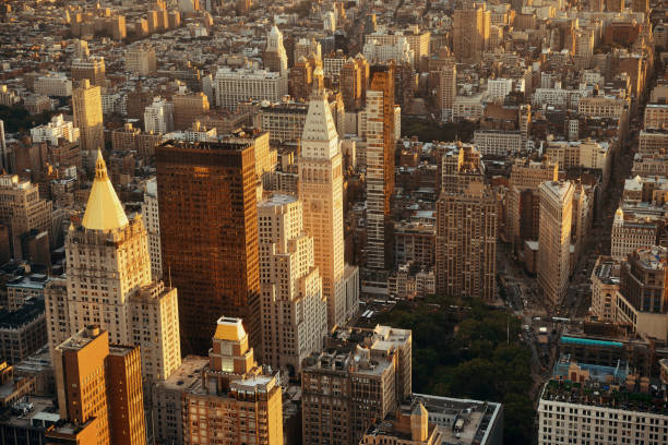 New York City New York City rooftop view with downtown Manhattan skyscrapers and urban cityscape. new york life building stock pictures, royalty-free photos & images