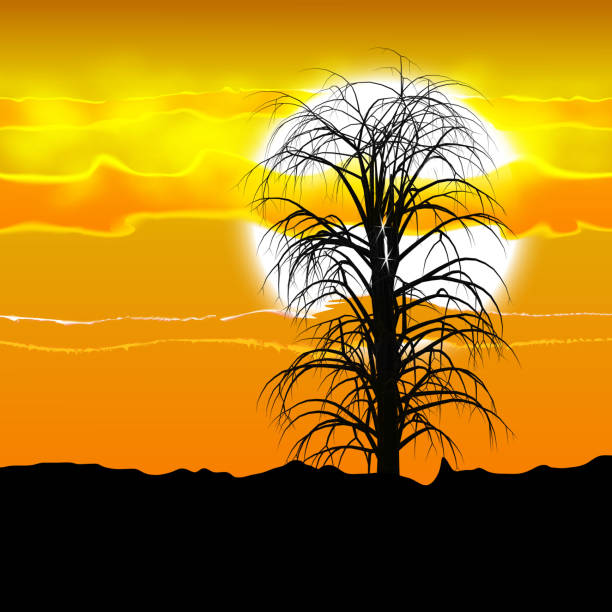 istock Illustration of several tree silhouette under the African sun and clouds. 836414320