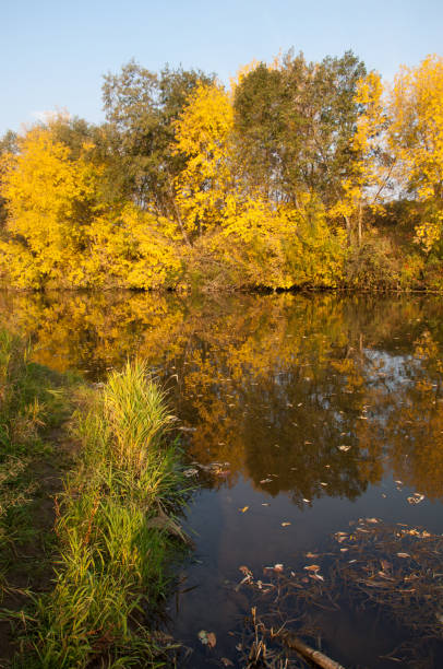 autunno, autunno, caduta delle foglie, caduta della foglia - 2546 foto e immagini stock